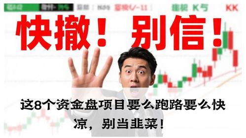 最新爆料的资金盘,巨额收益背后的风险与陷阱